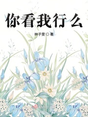 耻辱公车小说