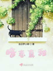 谷原希美有线手机观看