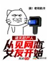 虐胖熊壮熊小说