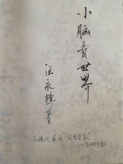 月夜直播手机版
