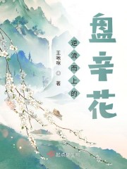 破冰行动免费完整版