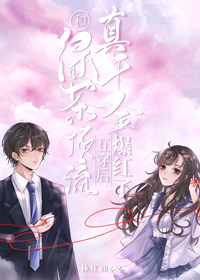 《不婚》作者:茶茶好萌