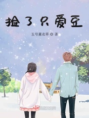 大团结全文目录