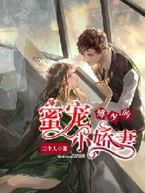 丁哲林傲蕾免费阅读全文正版