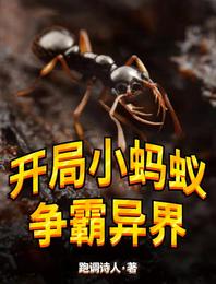 女奥特曼苍月战士高清视频