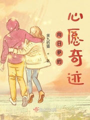 重生天龙之风流乔峰