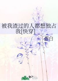 夫债妻偿林太太