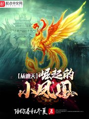 4480万利达影院理论片