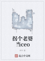 局外人美剧