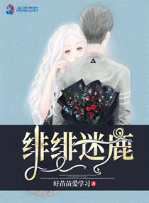 伦理h