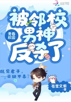 黑色皮革手册小说