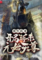 不得不爱电视剧免费观看