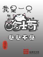 插翅难逃赵燕国彰版