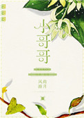 27bao