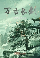 两面派六盲星