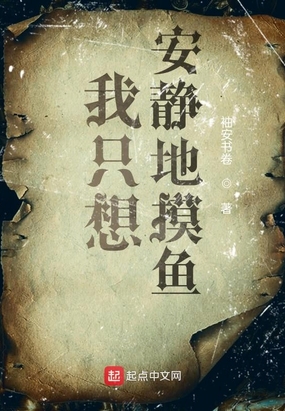 风s人生1.5完整版