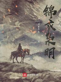 理论毛片