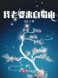 乱来大杂会大目录全集txt