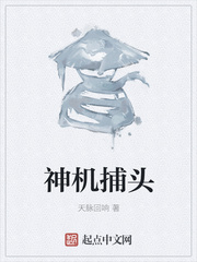 金蝶直播视频在线观看