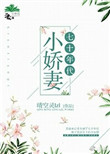我本风流小说