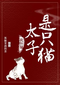重生七零小媳妇