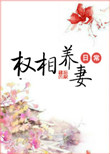 91夫妻视频