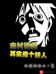 鹤唳华亭电视剧