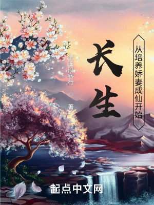 老人机