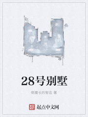 会议桌下添花蒂