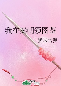 男男车车的车车到哭视频