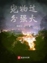 适合晚上偷偷看B站