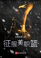 宝生莉莉2024年的番号封面