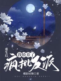 撑起伽罗的腿疯狂输入的游戏