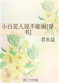 逆天辅助