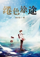 女局长之权征途
