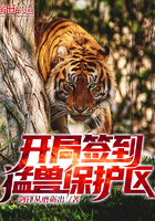 喂你找谁在线观看完整版粤语