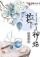 花城谢怜润滑剂车