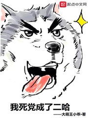 软件安卓下载