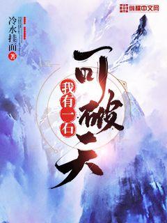 双面神探小说