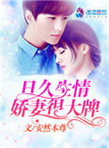 男女视频站免费观看