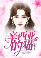 贪吻