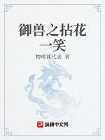 孔中窥见真理