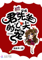 阿庆滛传txt阅读全文