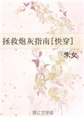 理论动漫动画片