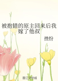 甘蔗地里的公熄全集小娟