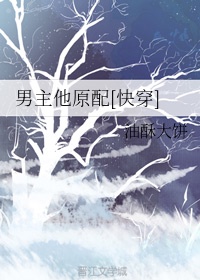 你的名字小说