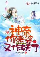 纲手本子彩色