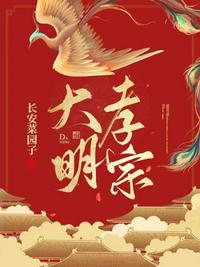 2024双十一直播