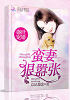 超h高h污肉办公室