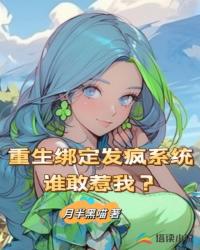 小说官术